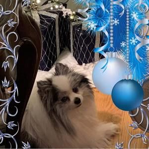 Meet your Posher, Jm